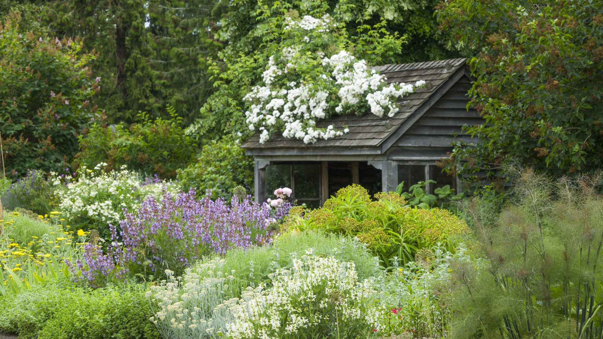 Scented Garden Cambridge Botanic Garden