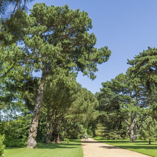 Horticulture Team Leader (Landscape and Arboriculture)