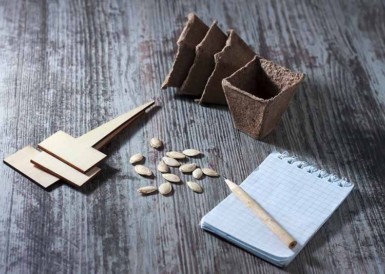 Gardening Hints and Tips