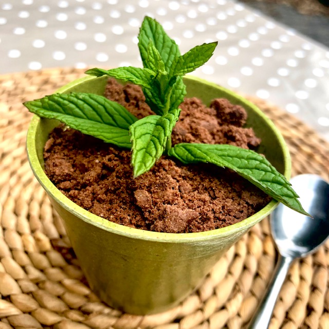 Image of chocolate mint dessert that resembles mint plant growing in soil