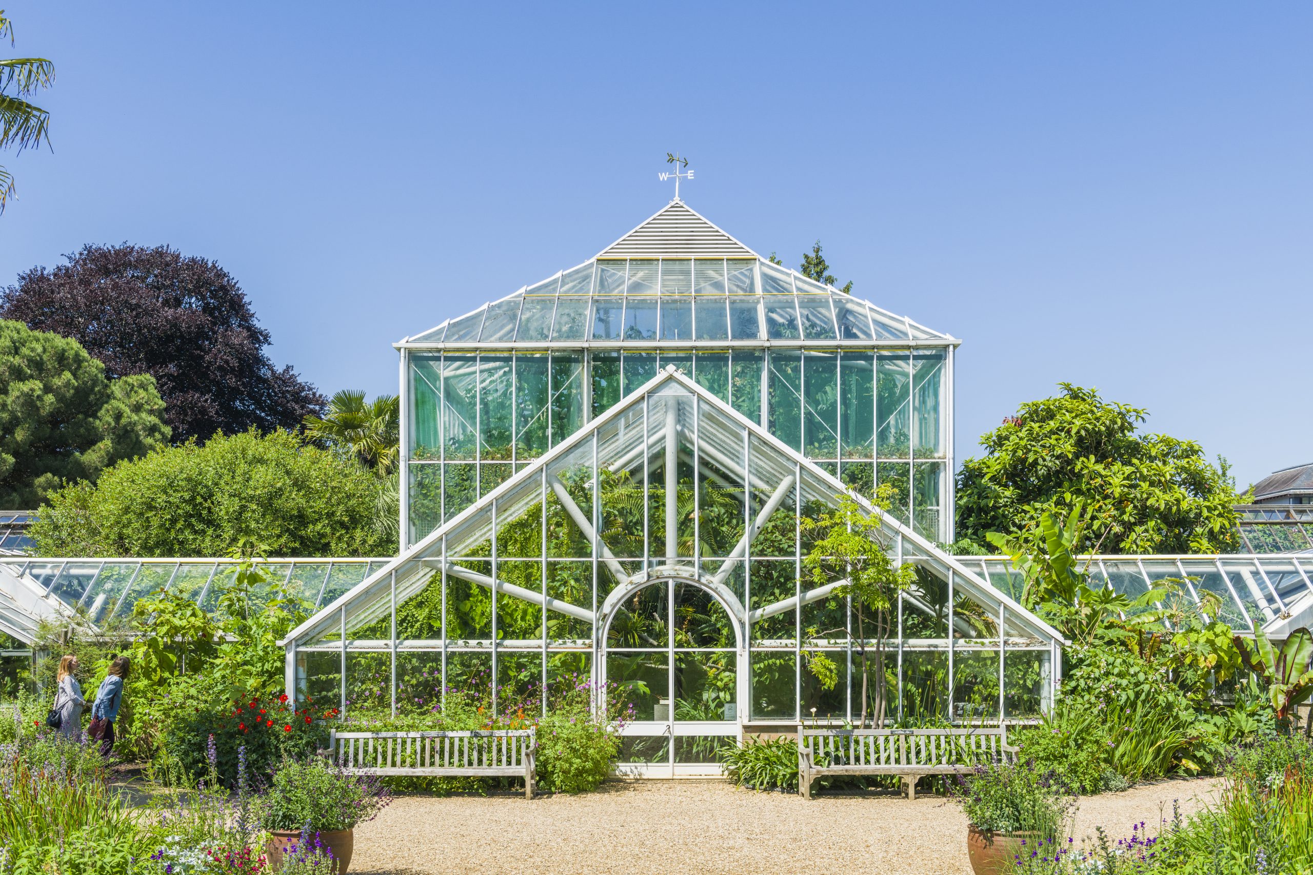 Glasshouses Cambridge Botanic Garden glasshouses-cambridge-botanic-garden