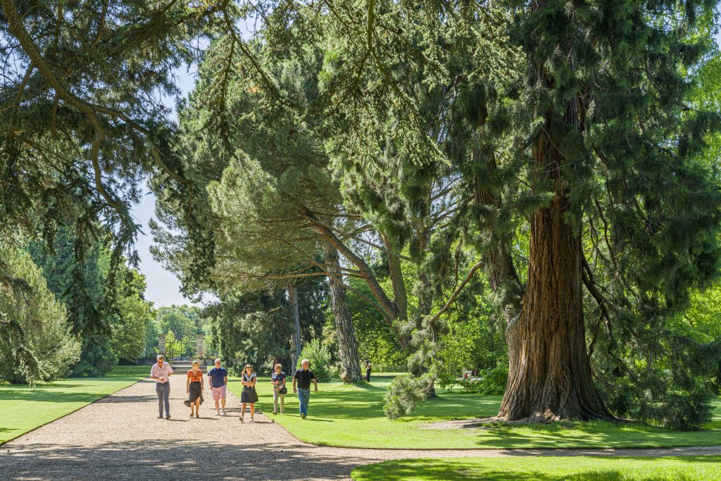 A group of people walking along a gravel path in an expansive, lush garden with large, mature trees, under a clear blue sky.