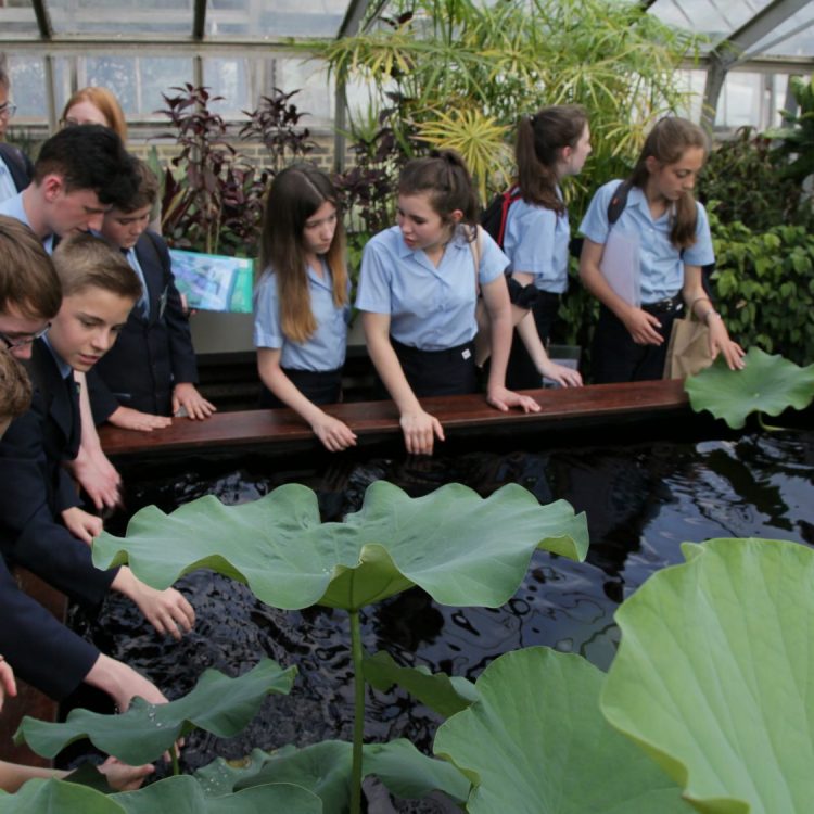 Book a Learning Visit