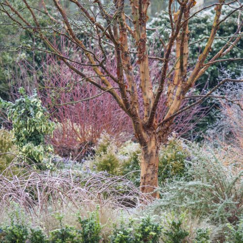 Gift Admission Tickets