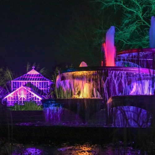 Buy tickets for Cambridge Botanic Lights