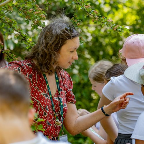 Learning Volunteers wanted