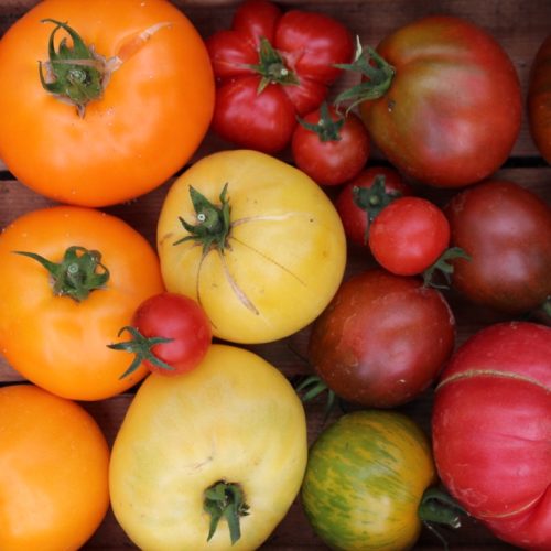 Grow your own vegetables: Theory and practice