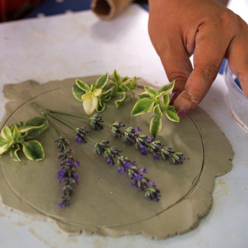 Plant prints in clay