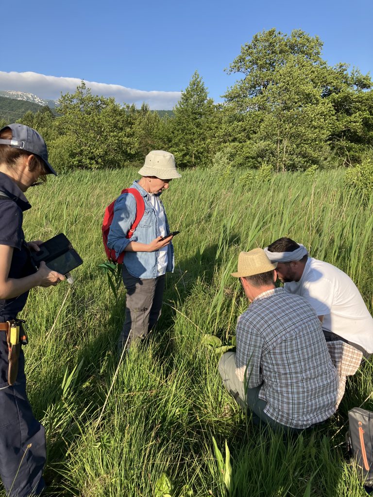 Four horticulturalists inspect plants in a green grassy meadowland.