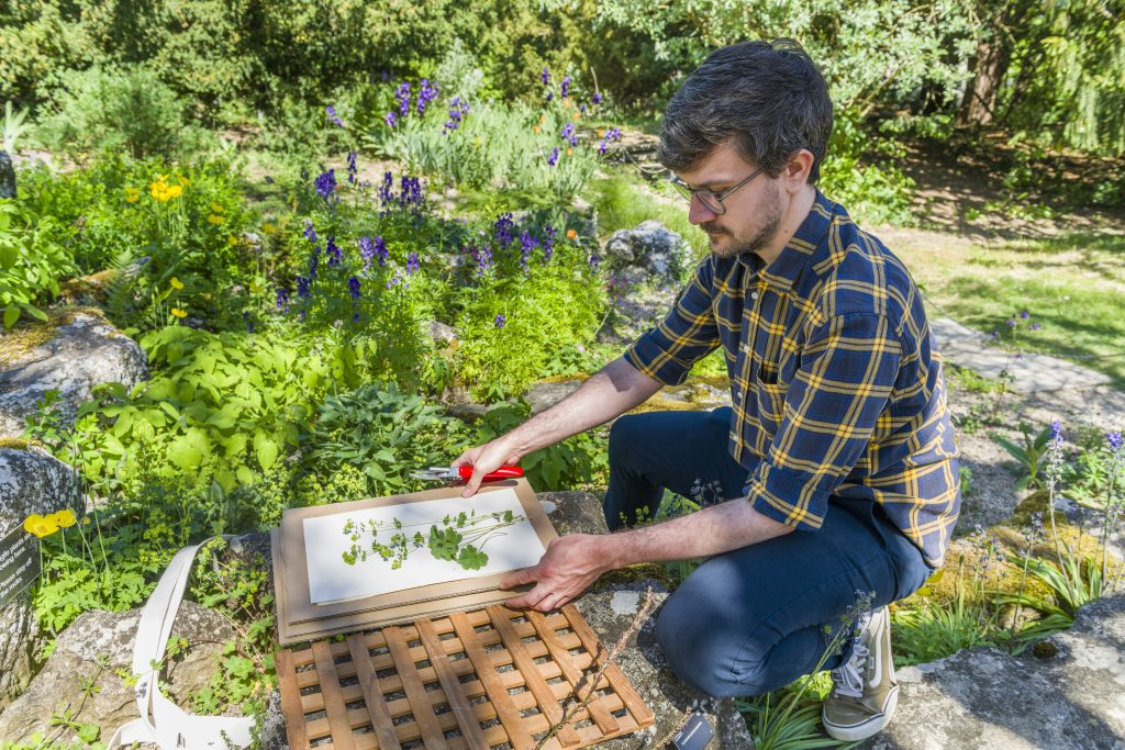 Matthew, in a blue yellow plaid shirt, crouches down in the rock garden to take a herbarium specimen.