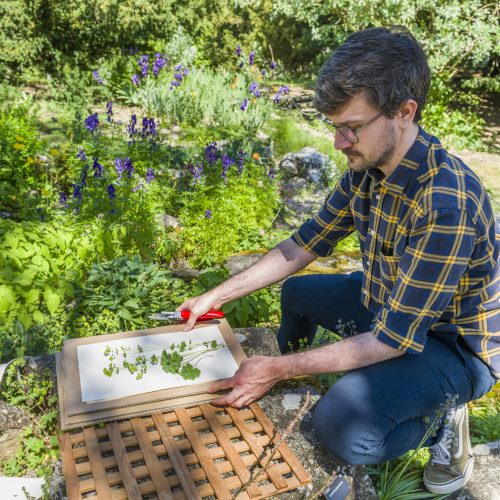 'Best job in the natural world’: seed collector enlisted as modern-day Darwin to document the world’s plants