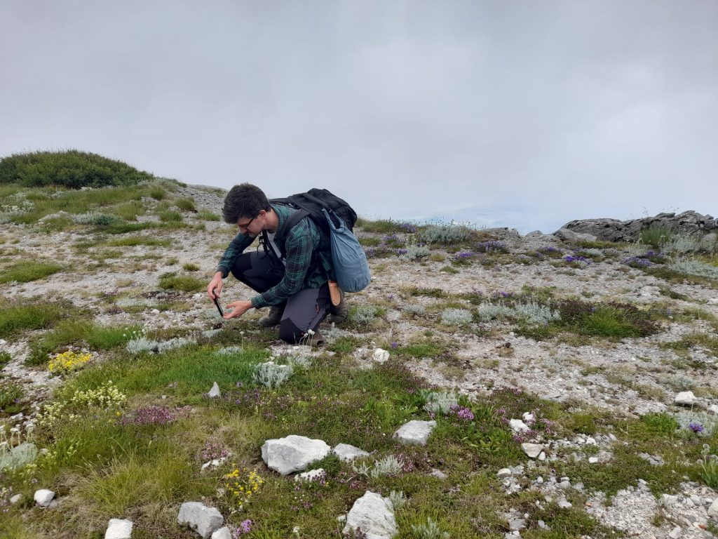A man crouches and takes photos of small alpine plants on a mountain top.