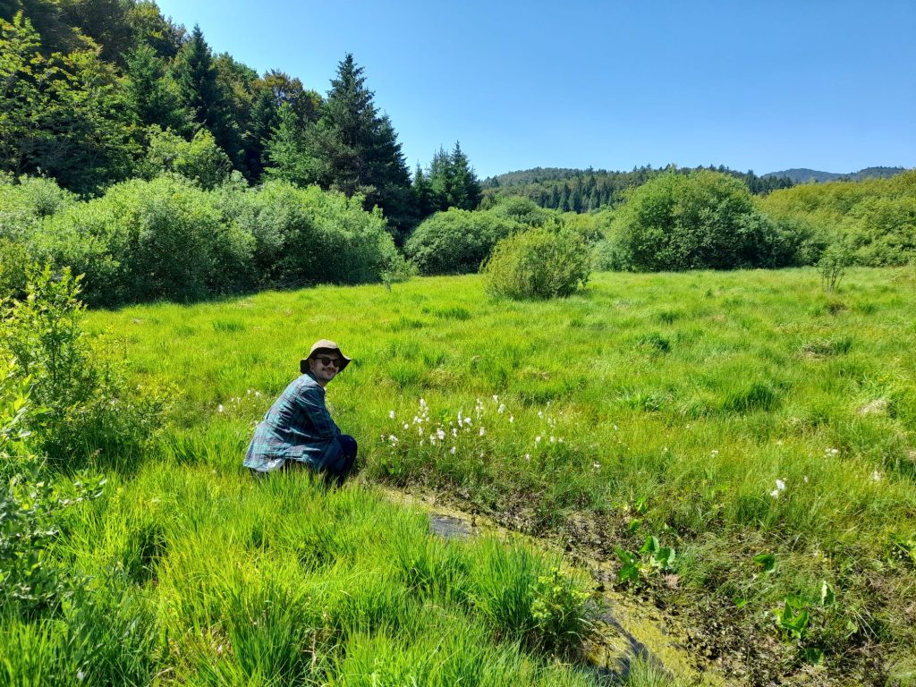A man crouches next to a stream in lush green meadows.