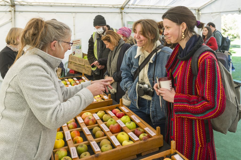 Three women talking and smiling over apples