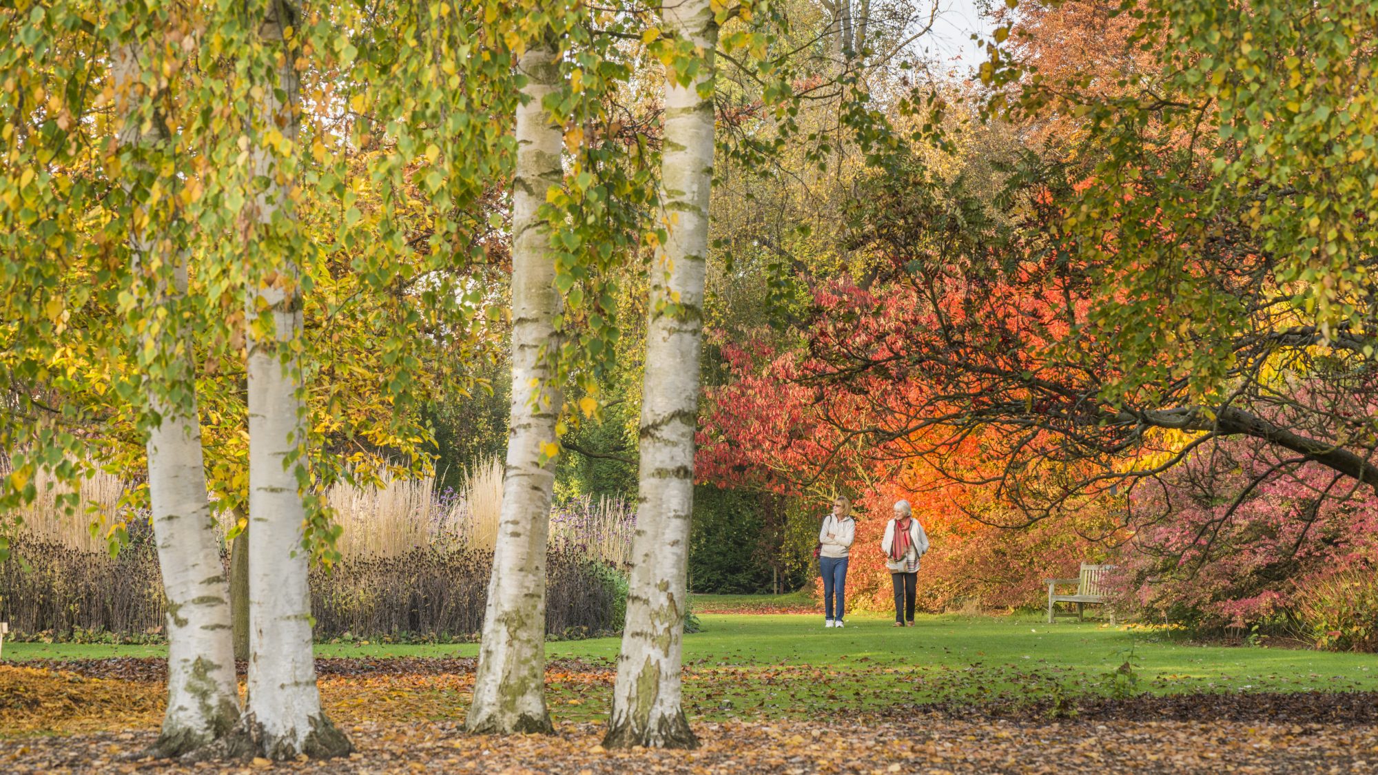 Two women walking through the Garden in autumn