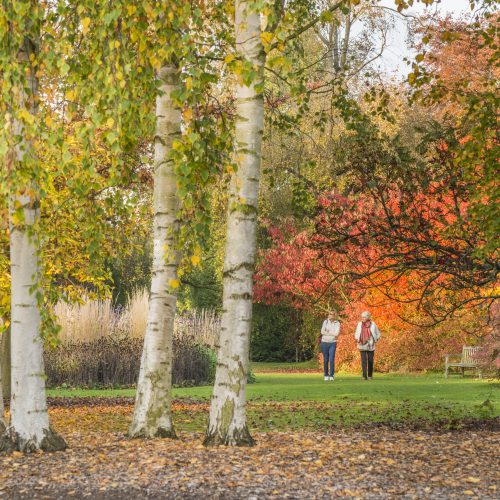 What's on in the Garden this Autumn 2025