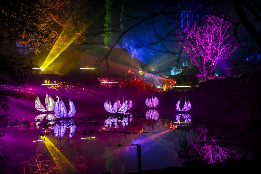 Illuminated garden at night with colourful plant installations