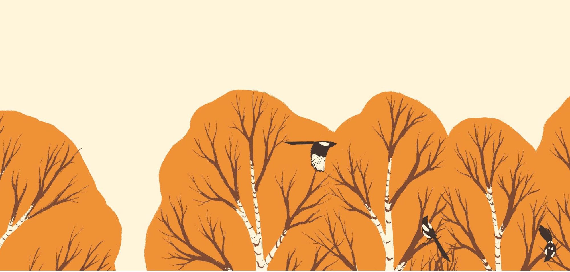 Illustration of a magpie flying past birch trees.