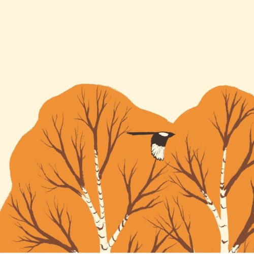 The Magpies’ Magic Forest