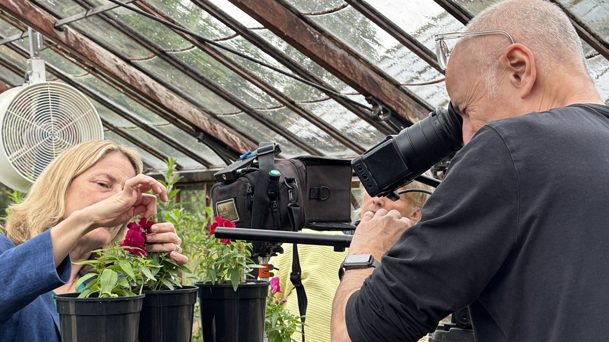 CUBG Director, Beverley Glover and BBC Gardeners' World Presenter, Nick Bailey in the CUBG Glasshouse Range looking at a test tube of blue liquid while being filmed for Gardeners' World