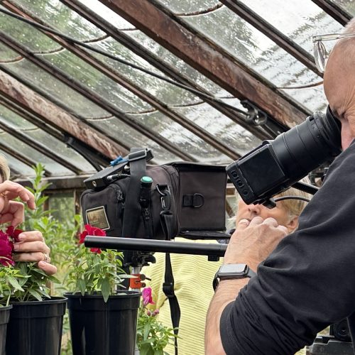 BBC Gardeners’ World visits CUBG to explore the science of flower colour