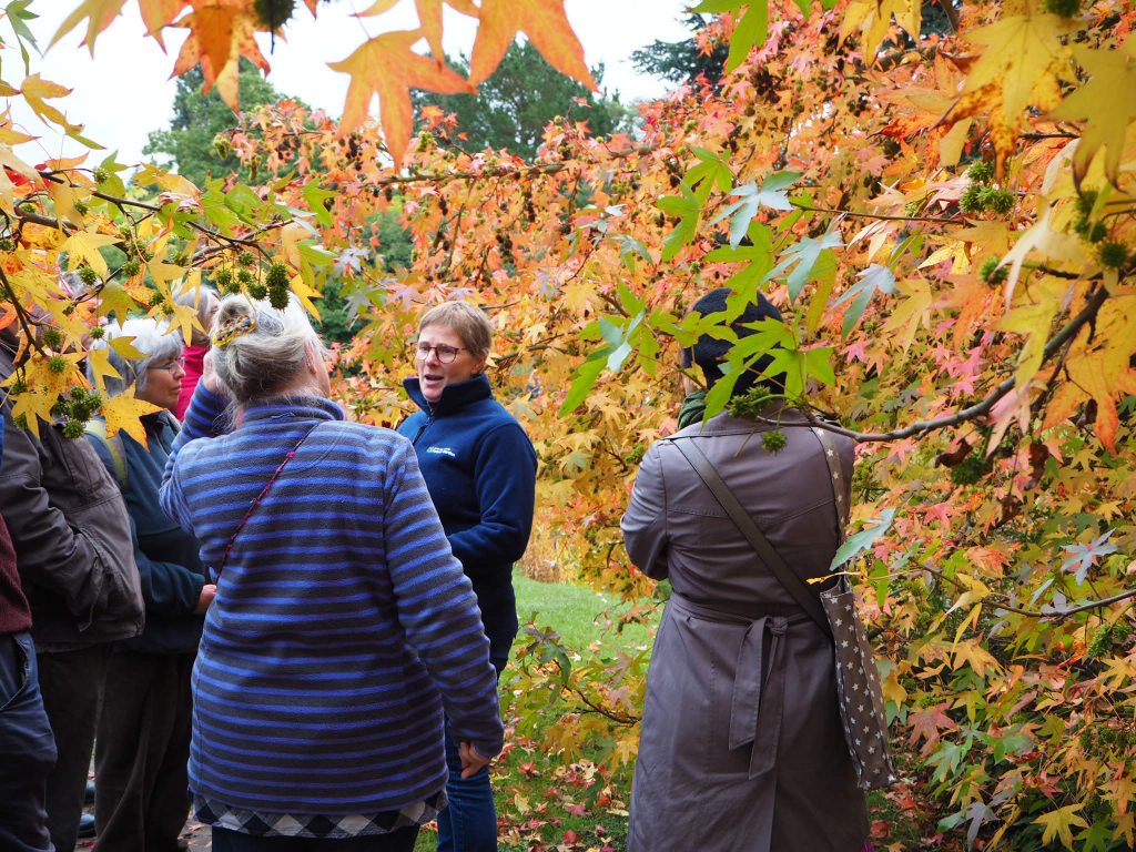 A guide giving a tour and talk by a tree with green, yellow and orange leaves.