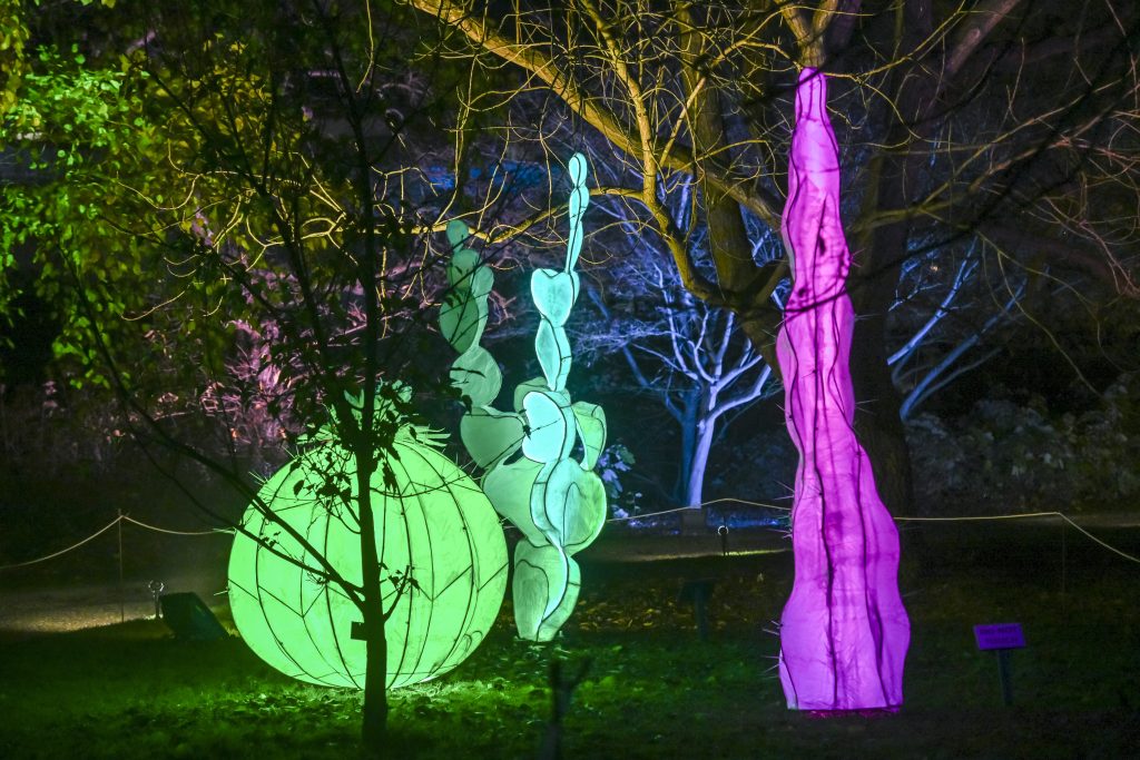 Models of plants illuminated with different coloured lights, surrounded by trees.