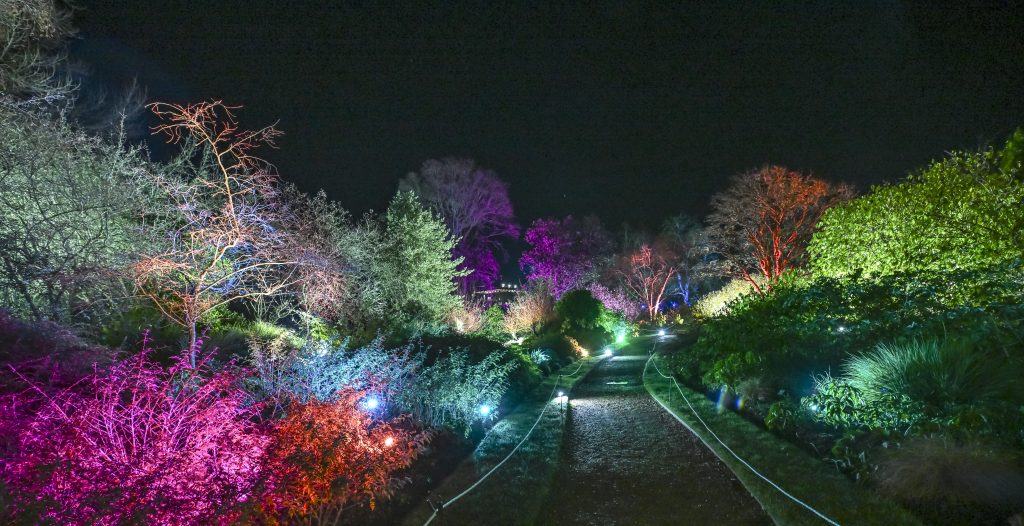 the path leading through the Winter Garden with either side lit up in different colours to highlight the shapes of the plantings