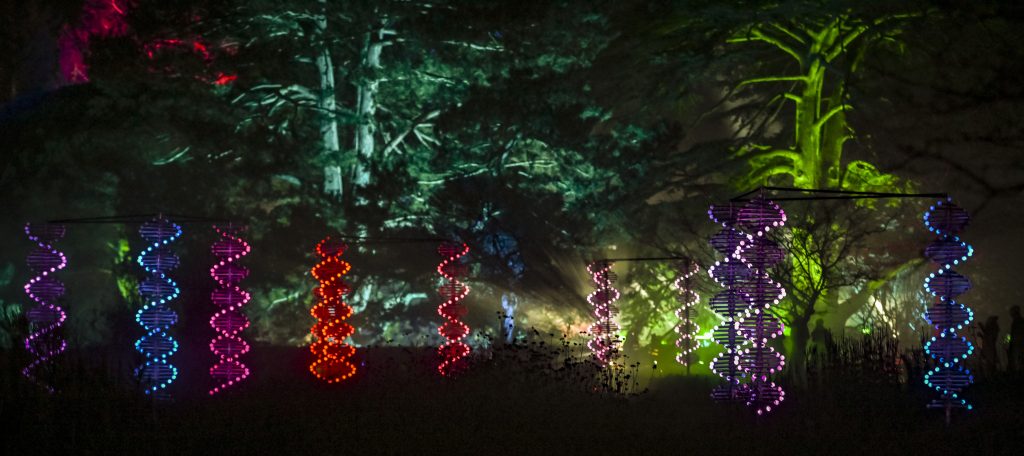 different coloured, illuminated double helixes in the mist with trees lit in greens behind them