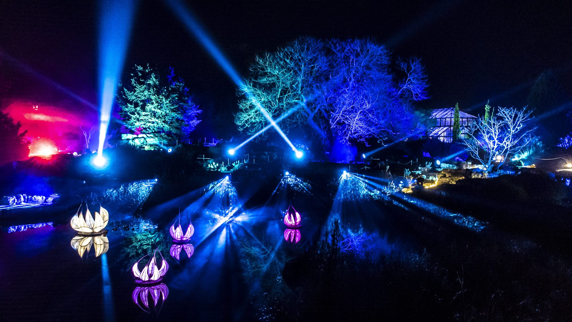 Illuminated waterlily models on a lake with illuminated trees and spotlights behind.