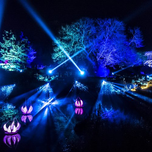 Rules for the competition to win four free tickets to Cambridge Botanic Lights