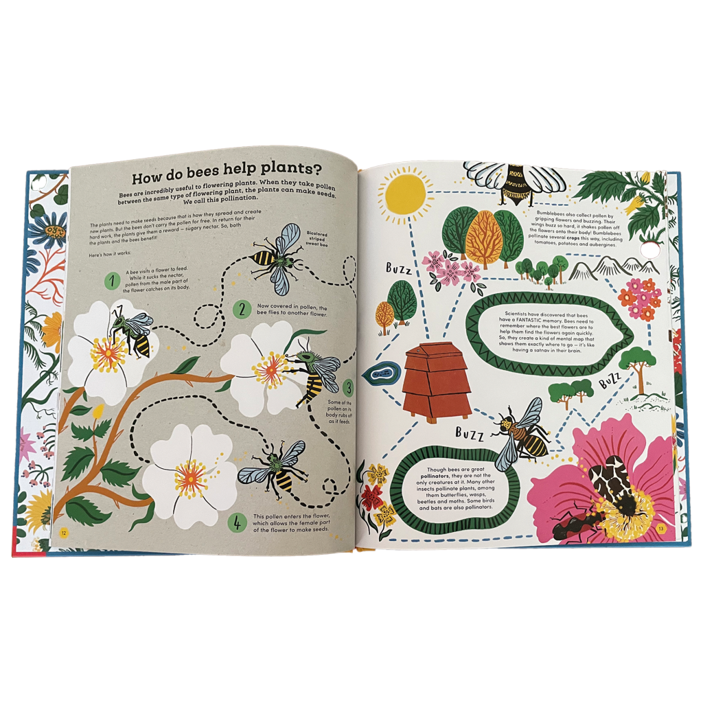 Pages in a book with illustrations of plants, bees, flowers and trees with text.