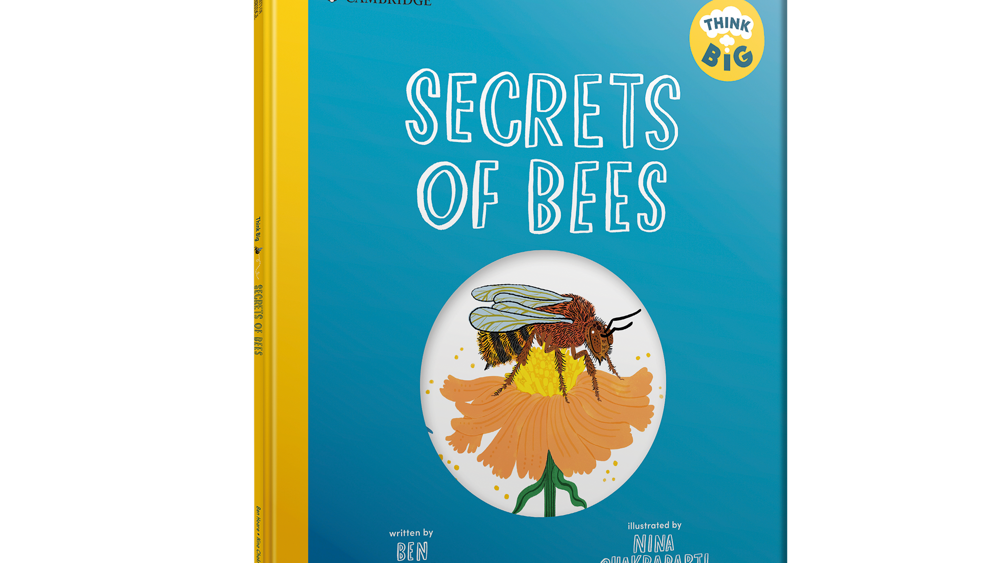 A children's book entitled 'Secrets of Bees' with a bee on a flower on the front cover.