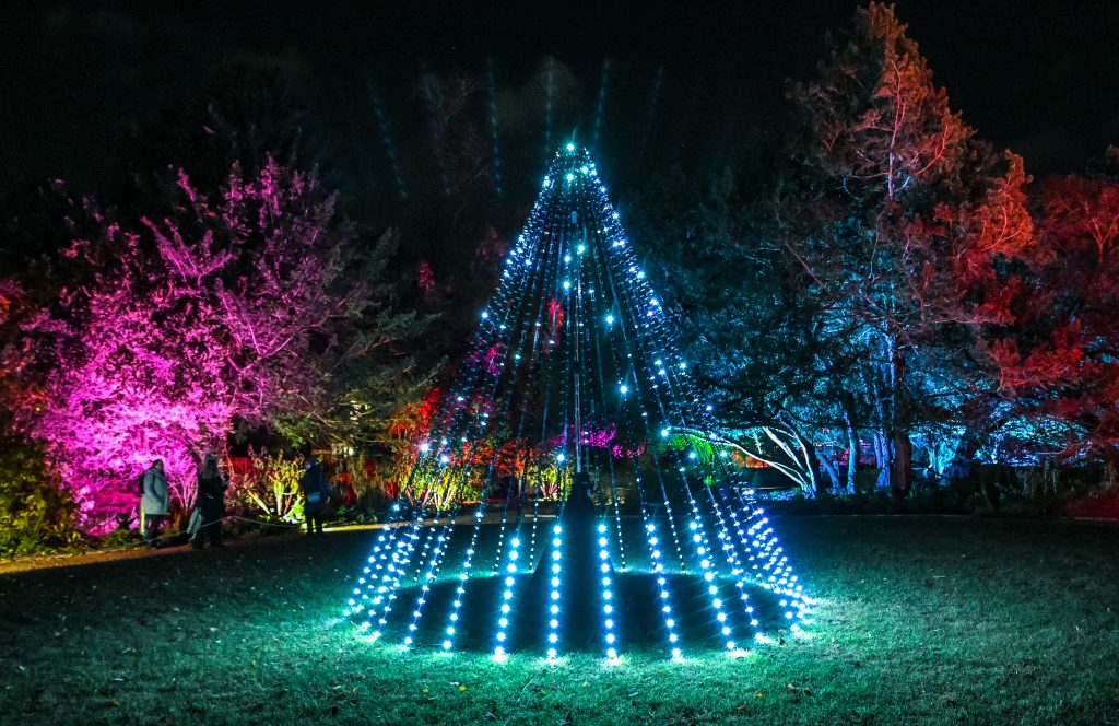 Multicoloured lights light up a garden, with fairy lights in the shape of a tree in the centre.