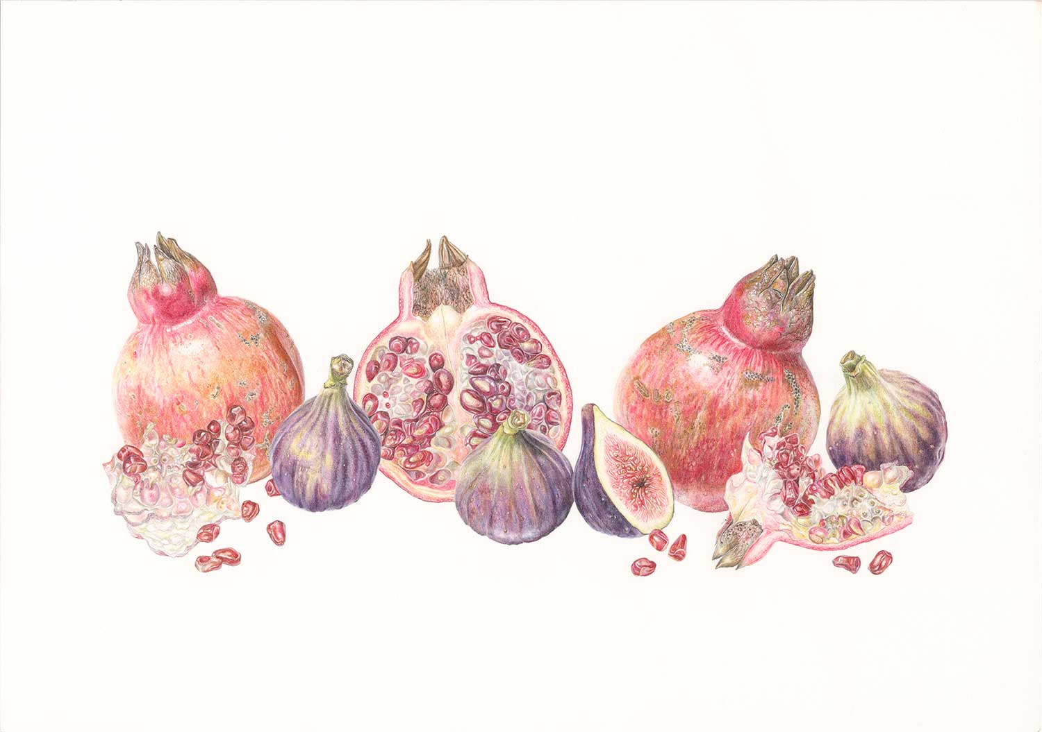 an illustration of figs and pomegranates