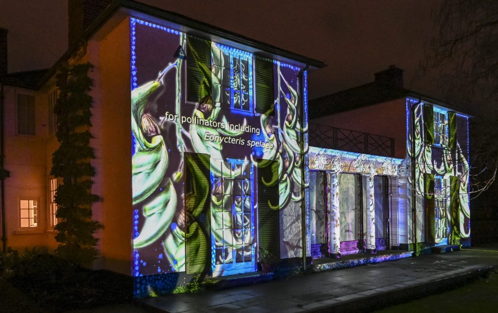 Images of Strongylodon macrobotrys (Jade Vine) are projected onto Cory Lodge, a building that is lower in the centre than it is on either side. The Strongylodon macrobotrys is a light green, almost turquoise colour on a deep blue background, and the words 