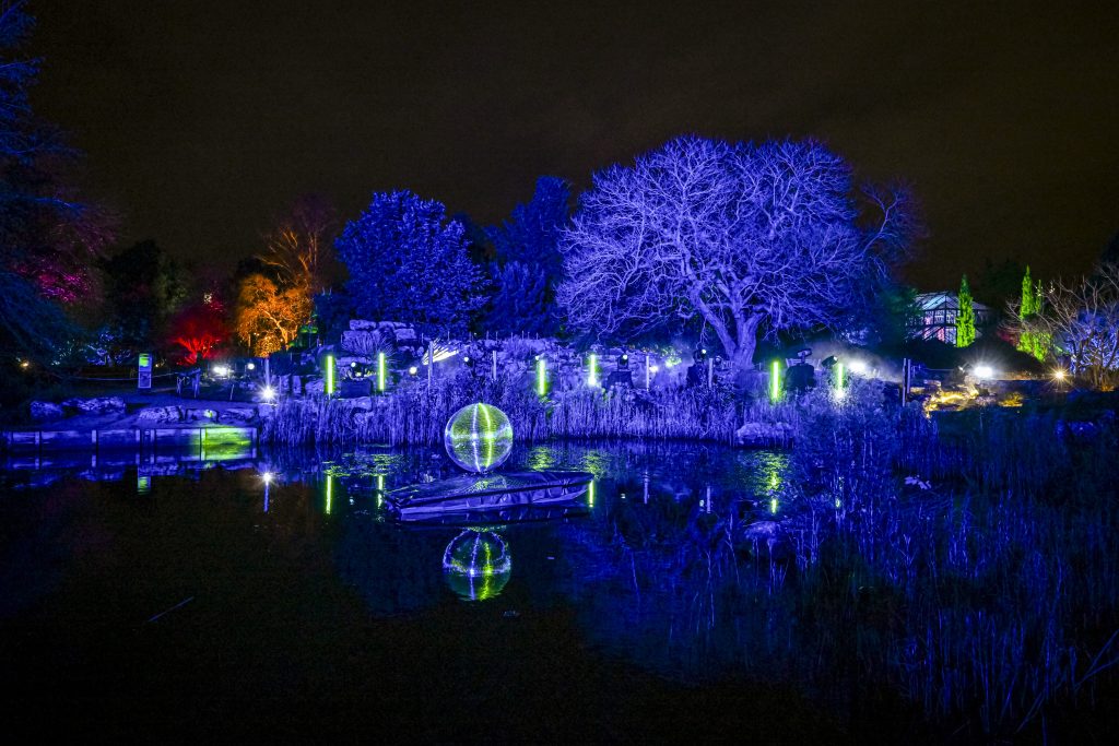 A disco ball sits in the centre of a lake, surrounded by trees and plants lit in indigo, orange, red and luminous green. Amongst the plant life are six green, rectangular lights in a portrait position, which are reflecting off the lake and the mirror ball. In the far distance Cambridge University Botanic Garden Glasshouse is visible.