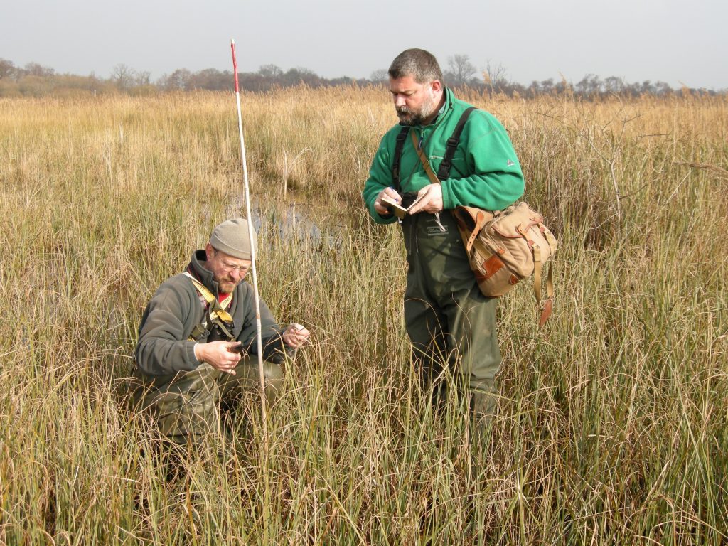 Two men in the Fenland grass - one crouching, one standing while observing the area