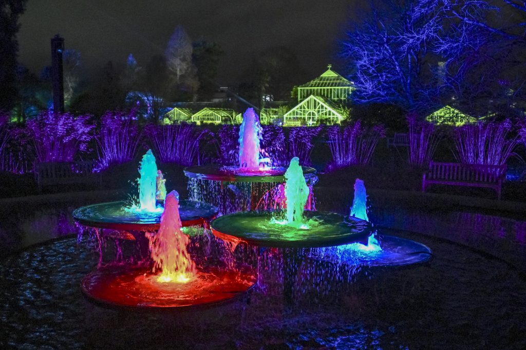 Each of the water spurts in the Botanic Garden foundation is lit a different colour - one red, one turquoise, one green, one blue, one purple. Behind the fountain are reed-like plants lit in a dark purple shade, and behind that the glasshouse range is lit up in light green. The photograph has been taken at night time so much of the surroundings are dark, offering a bring contrast to the glowing fountain.