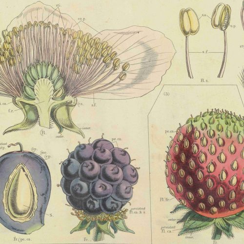 Colleges and Universities