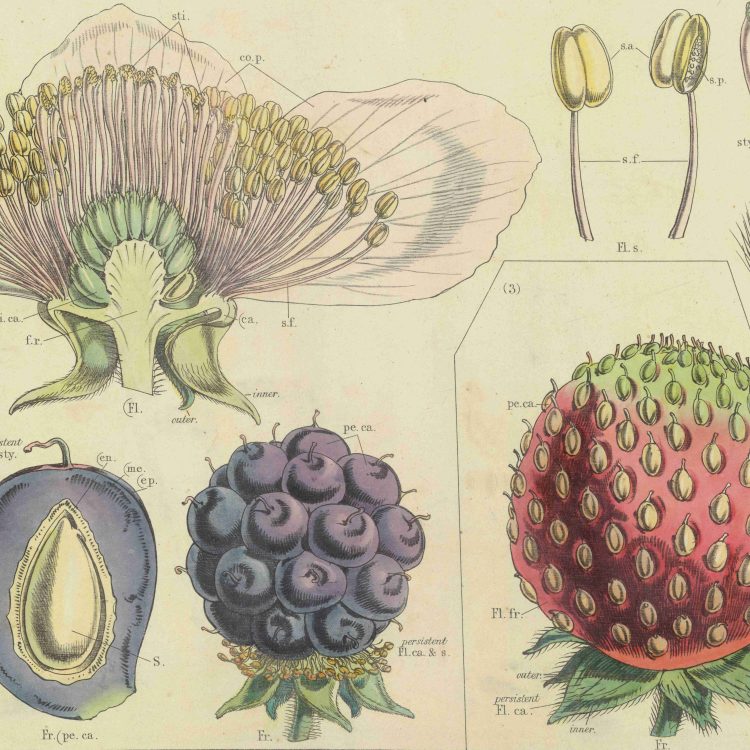 Colleges and Universities