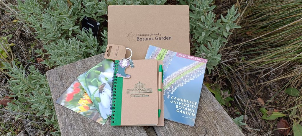 Gift Packs - opened showing contents