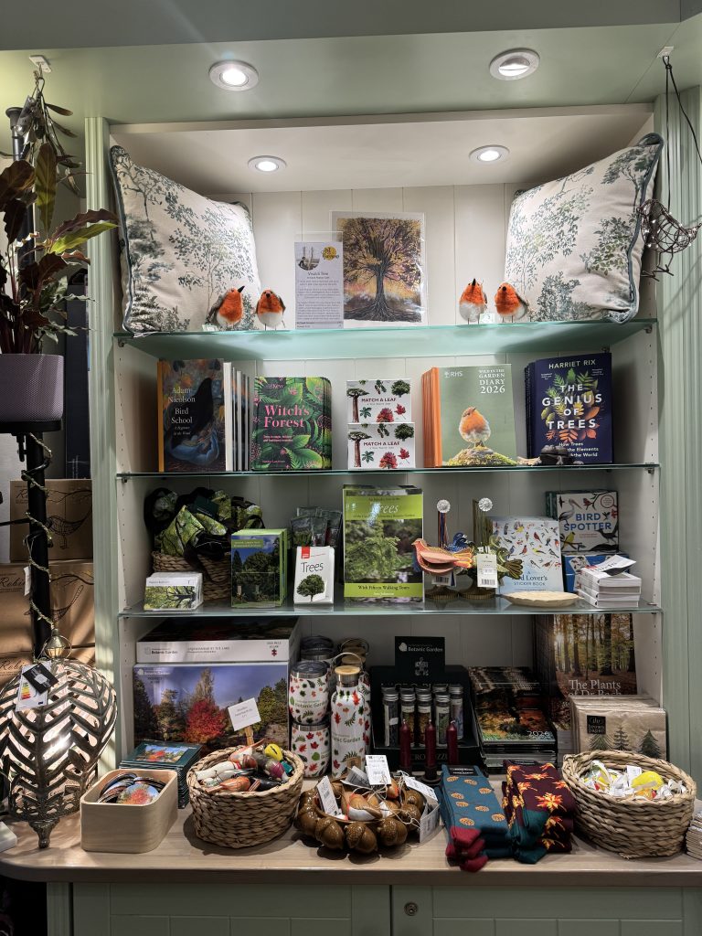 Shop display of books and gifts.