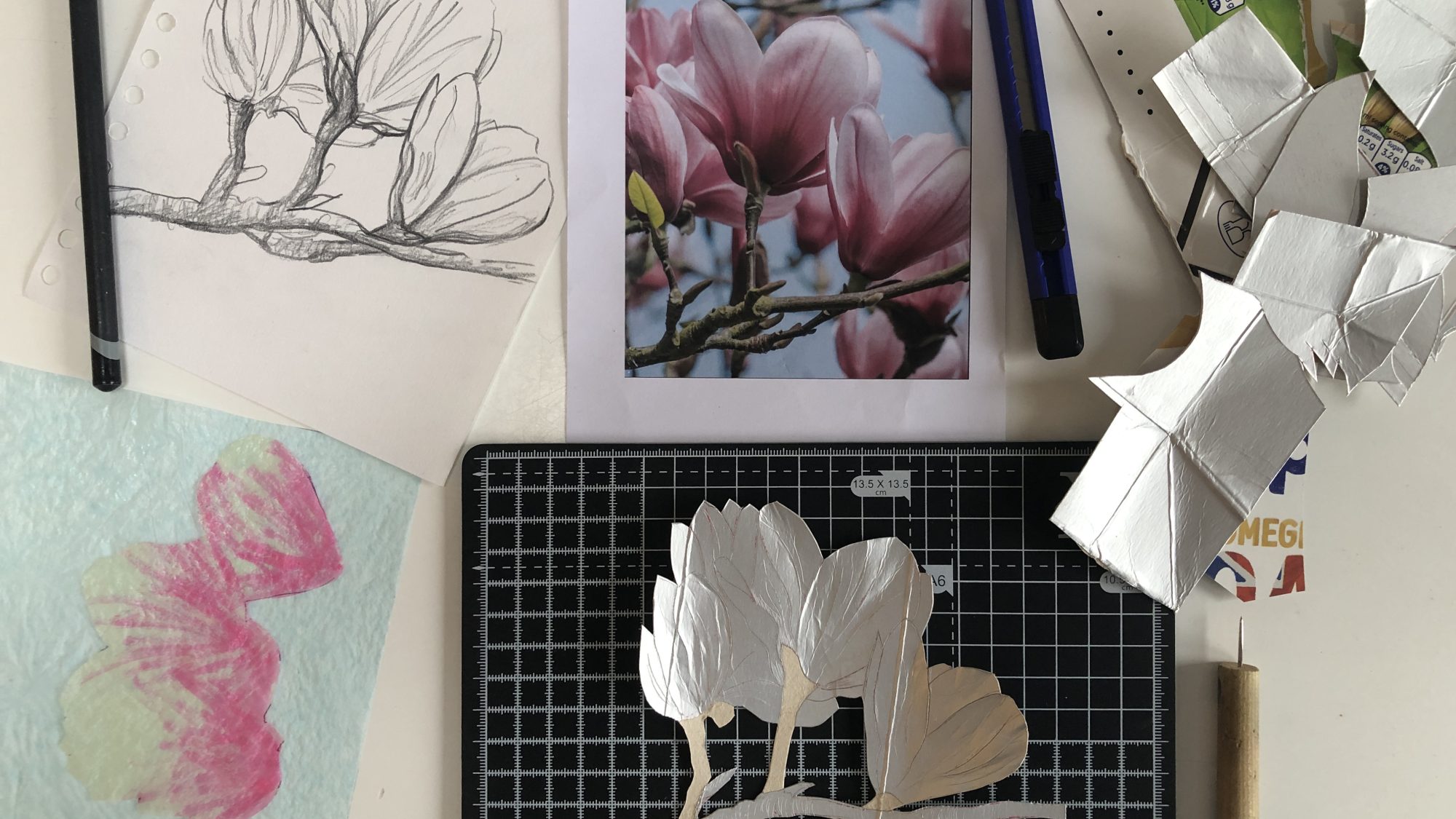 sketches and cutouts of magnolia blooms