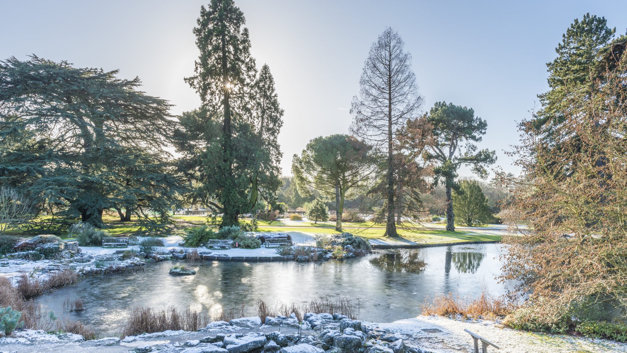 A partly frozen lake surrounded by trees, grass and rocks.