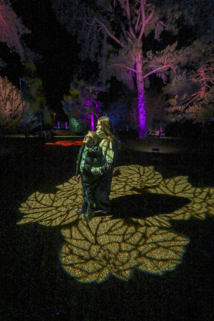 Two figures stand in a projecting of leaves, which show up brown on the otherwise black night time ground. Both figures are looking to the left and one slightly up, appearing to examine something outside of the frame of the image. Further down the path behind them another projection is slightly visible, though from the angle of the photograph it is only possible to see that it is a more reddish-brown colour. The trees on right side of the path are lit up purple.