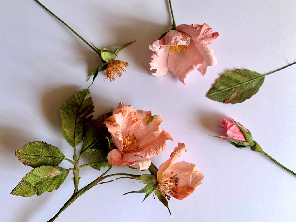 Pink paper roses with green stems