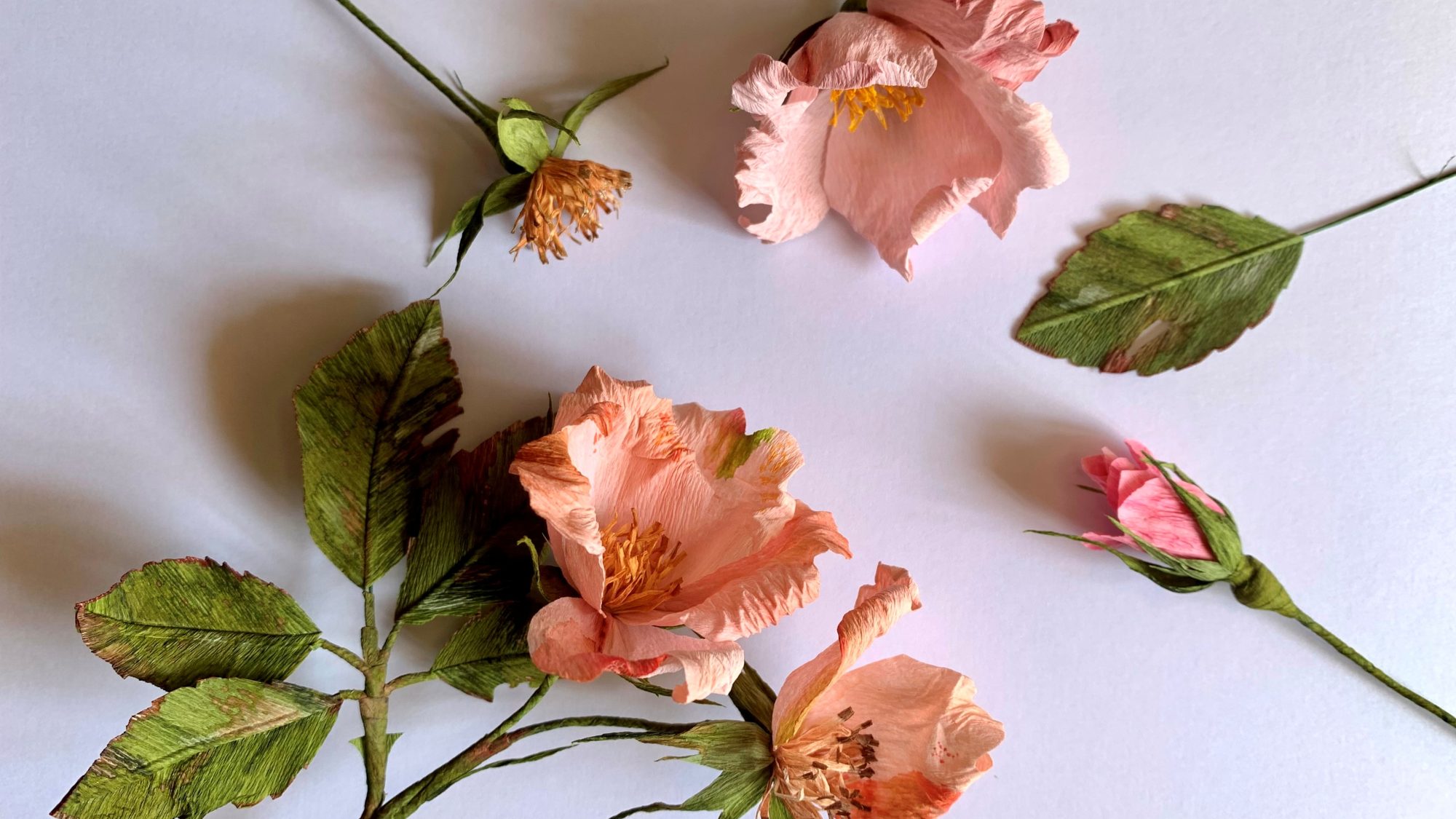 Pink paper roses with green stems lying on a table