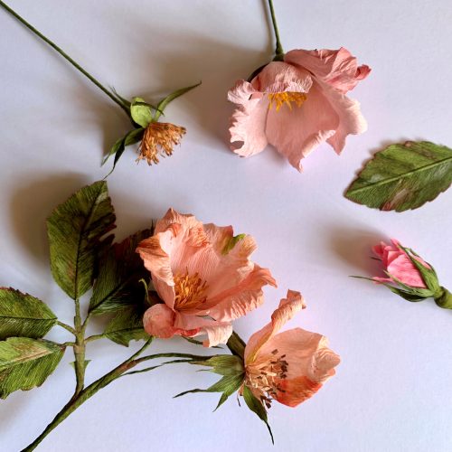 Paper flowers: Wild roses