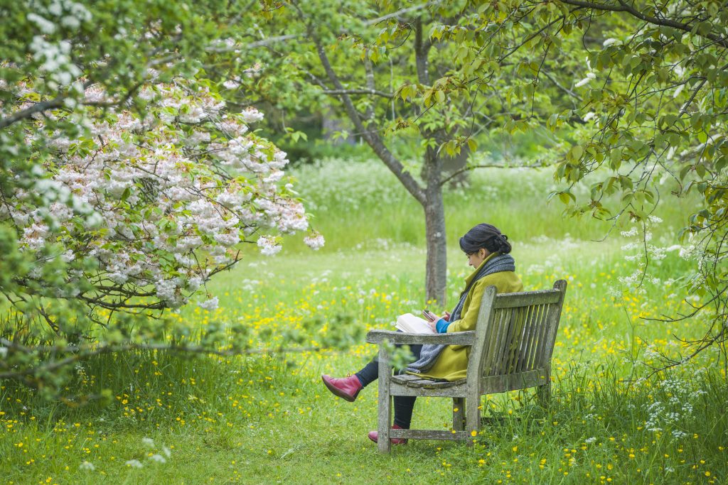 someone sitting on a bench in the Botanic Garden in spring